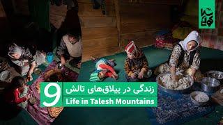 Country life vlog in Talesh mountains 9  ولاگ زندگی روستایی قسمت