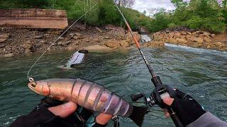 Je pêche le Poisson d'une Vie avec ce leurre Truite ! Le lac baisse au maximum !