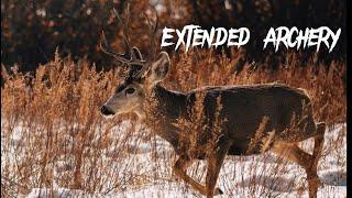 October Morning Hunt | 2022 Utah Archery
