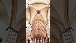 The Bruges cathedral that has stood for 1,000 years #shorts