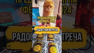 Предсказания на февраль #эзотерика  #предсказания #слипер #знакивселенной #таро #вселенная #котики