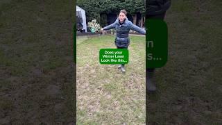 EASY Lawn Care! Ready to transform the lawn this spring #lawn #garden #gardening #gardeningtips en