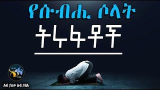 የሱብሒ ሶላት ትሩፋቶች  || ልብ ያለው ልብ ይበል ||  @ElafTube