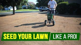 The absolute BEST way to SEED YOUR LAWN - Step by Step Guide