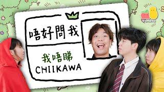 【Chiikawa】唔好問我！我從來唔睇Chiikawa ｜Pomato 小薯茄