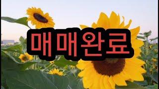 (거래완료)전 세!! 시내 가까운 신축전원주택 전세로 살아보세요~