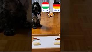 2024 Dog Oracle Predicts Germany Vs Hungary Winner - You Won't Believe Who Takes The Victory!