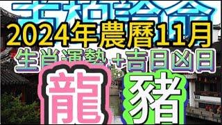 【古柏論命每月運勢+吉日凶日】2024年農曆11月(陽曆12/1 ~ 12/30)生肖運勢分享 -  龍＋豬