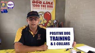 Dog Training Collars - Using E collars for Positive Reinforcement Training