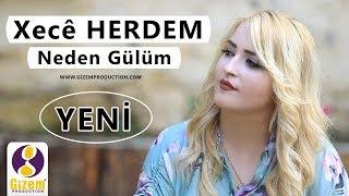 Xecê Herdem - Neden Gülüm (Akustik)