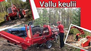 Chinese Firewood Processor and let's make firewood. Valmet and Dexta Tractors are helping me!!!