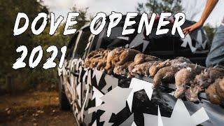 OPENING DAY DOVE HUNT 2021 (45 Birds!!!) | Ohio Dove Hunting