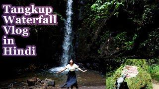 (Tangkup Waterfall) Waterfall in Gianyar , Ubud , Bali vlog in Hindi 55