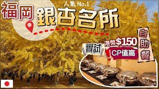 [福岡紅葉遊] 金黃色浪漫銀杏森林 | 交通攻略 | 實測超便宜$150自助餐有什麼吃？| 溫泉+自助餐超滿足