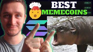 Best Meme Coins on Solana - MOODENG, BILLY, GIGA, MICHI, POPCAT, MUMU