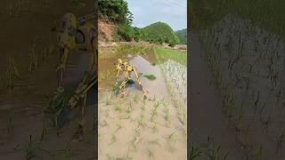 Amazing agriculture robot #agriculture #robot #shorts #china #satisfying #cropmanagement