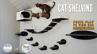 Cove Product Cat Shelves