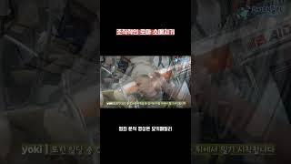 조직적인 로마 소매치기의 범죄