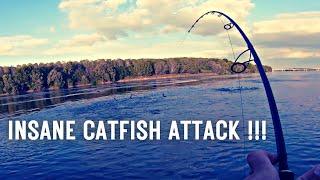 INSANE CATFISH ATTACK IN THE SURFACE !!!