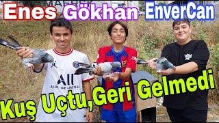 Kuş Uçtu Geri Gelmedi. Enes,Gökhan ve EnverCan. Gebze Taklacı Güvercin Kümesleri