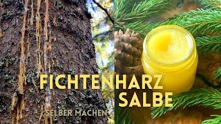 Fichtenharzsalbe selber machen | Pechsalbe | Naturkosmetik aus dem Wald