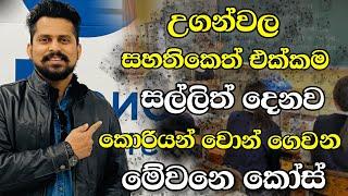 උගන්වල සහතිකෙත් එක්ක කොරියන් වොන් වලින් 80000ක් දෙන කොරියාවේ කෝසස් |courses for foreigner in korea