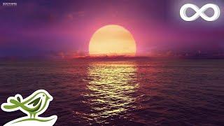 8 Hours of Relaxing Sleep Music: Ocean Waves, Relaxing Music, Sleeping Music, Calming Music 146