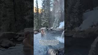 SNOWY HOT SPRING IN THE MIDDLE OF THE FOREST #mountainlife #adventuredog #hikingadventures #nature