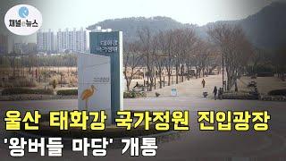 울산 태화강 국가정원 진입광장 '왕버들 마당' 개통 [채널e뉴스]