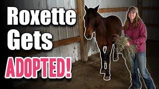 Roxette Gets ADOPTED! - Horse Plus Happenings Vlog #36 | 11-25-2024