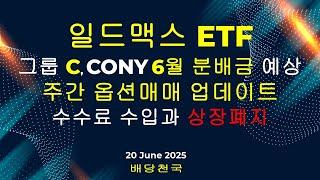 일드맥스 ETF - 그룹 C 6월 분배금 예상 및 주간 옵션매매 업데이트 (CONY, MSTY, TSLY, NVDY, PLTY, SMCY, FBY, YMAX/G)