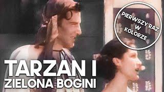 Tarzan i Zielona Bogini | KOLORYZOWANY | Film klasyczny z polskim lektorem