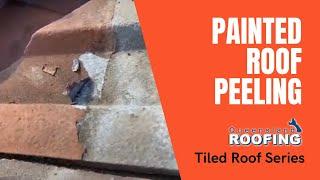 GOLD COAST ROOF REPAIR. PAINTED ROOF PEELING - Queensland Roofing