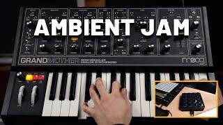 Ambient jam with Moog Grandmother (jam session)