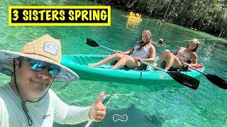 3 SISTERS SPRINGS | CRYSTAL RIVER, FL   MANATEES AND MORE