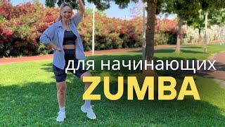 ZUMBA для начинающих. Танцевальный фитнес. Тренировка для похудения