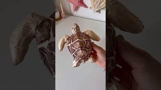 DIY sea turtle tutorial