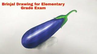 Easy brinjal Drawing for Elementary & Intermediate Grade Exam students | Easy Brinjal Drawing