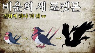 비운의 새 포켓몬, 스왈로