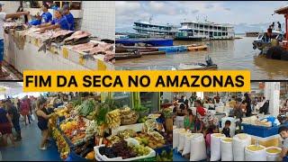 Os Rios do amazonas já estão subindo, como está a cidade de Tefé com o fim da seca na Amazônia 