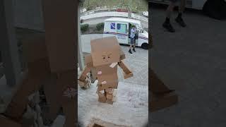 the mailman didn't know he was on camera