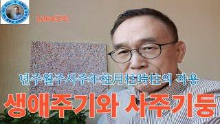 2264강의, 생애주기와 사주기둥, 년주월주시주年柱月柱時柱의 작용, 인문명리학, 주역강의, 인문역사 강의, Human Future, Eastern Philosophy,