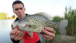 I Found a Lake that Holds GIANT Fish!