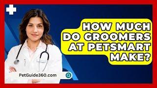 How Much Do Groomers At PetSmart Make? - PetGuide360.com