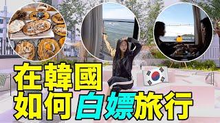 在韓國白嫖旅行？你也可以！ ｜Jellyya