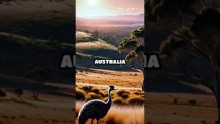 Untold Stories of The Great Emu War