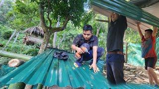 chicken coop repair and renovation - bamboo chicken coop construction - corrugated iron roofing