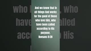 #romans828 #godatwork #motivation #courage #perspective #frbyron #jesusgod #godwithyou #godislove