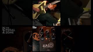 The sound that sold me on this pedal! @KeeleyElectronicsEdmond Halo #delay #thepedalzone #guitar