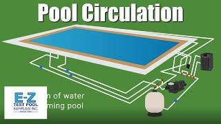 How Does a Swimming Pool Circulate Water?